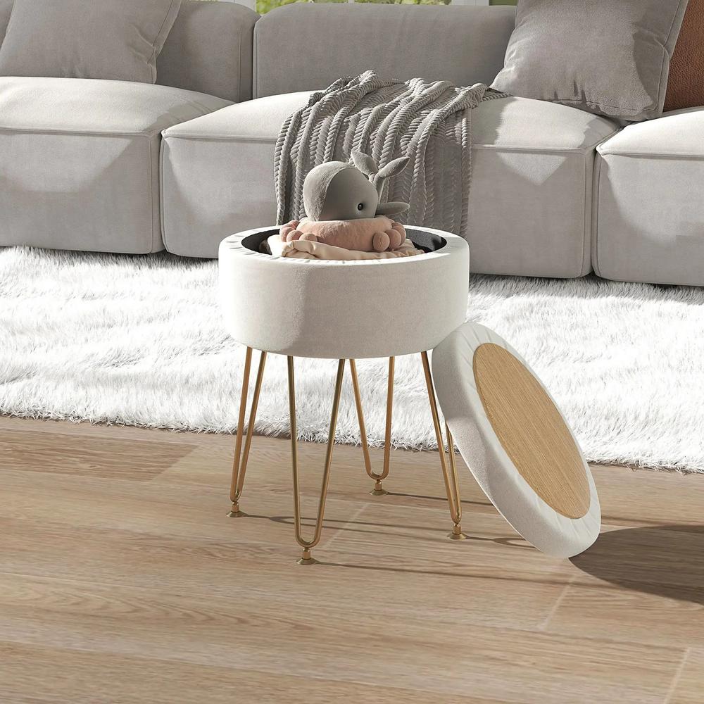HOMCOM 5L Velvet-Feel Storage Ottoman Additional View 2