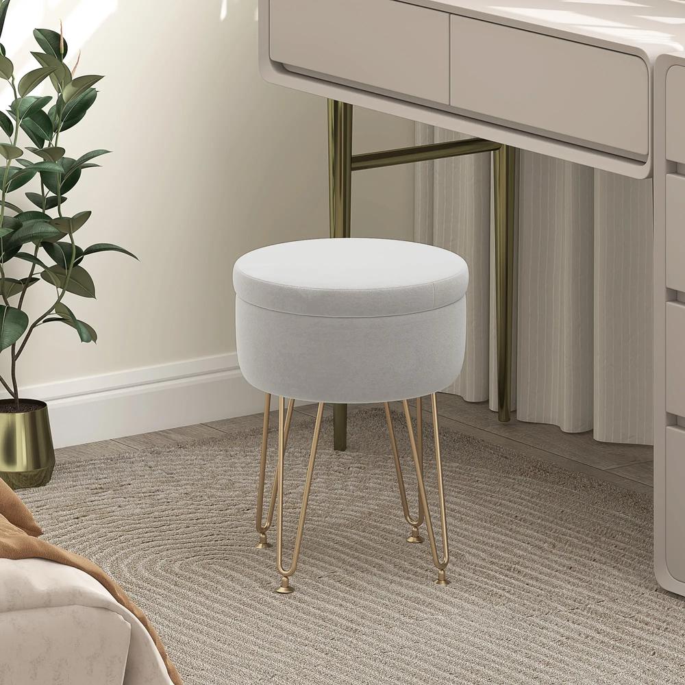 HOMCOM 5L Velvet-Feel Storage Ottoman Additional View 10