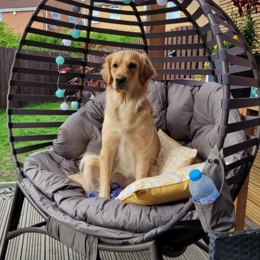 Outsunny Egg Chair with Cushion & Side Pocket
